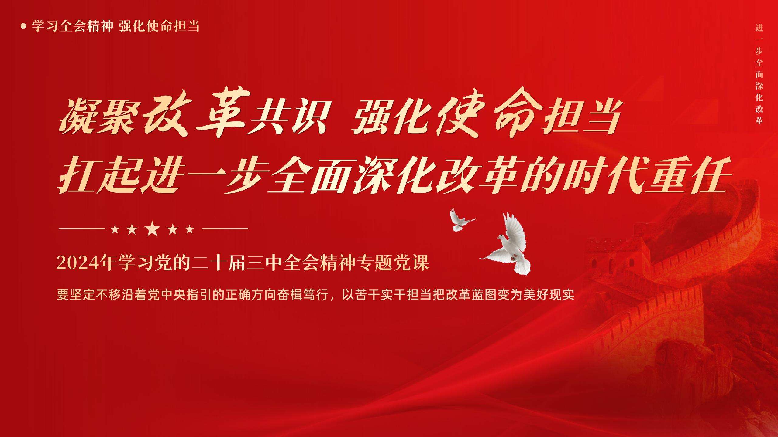 鲁豫有约林心如